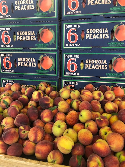 Fresh local peaches in crates
